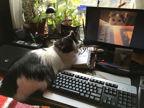 Lucifer vid datorn Citrus på skärmen