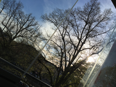 Utsikt från balkongen 1