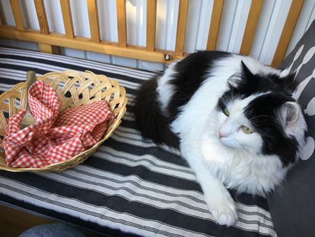 Lucifer och brödkorgen