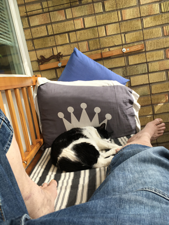 Jag och Mini på sofflocket