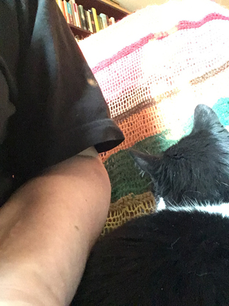 Jag och Mini trängs i skrivbordsstolen