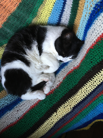 Mini i skrivbordsstolen version 100