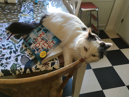 Citrus slickar på en stol