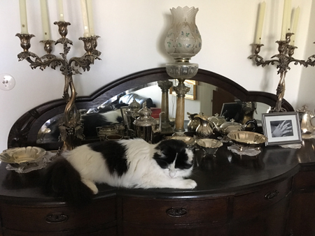  Lucifer sover på ekbyffén