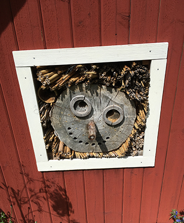 Gubbe i röd stuga i Botaniska