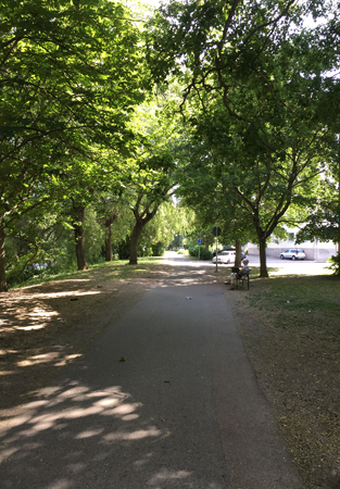 Gångväg i skuggan längs Fyrisån