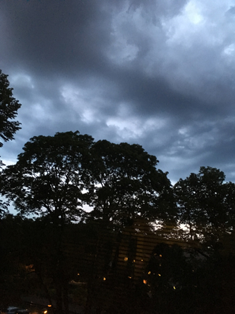 Mörka moln över träd Mörka moln över träd