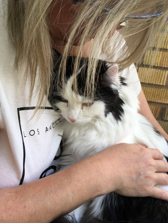 Lucifer i Annas knä