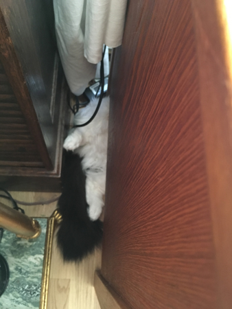 Lucifer mellan arkivskåpet och skrivbordet