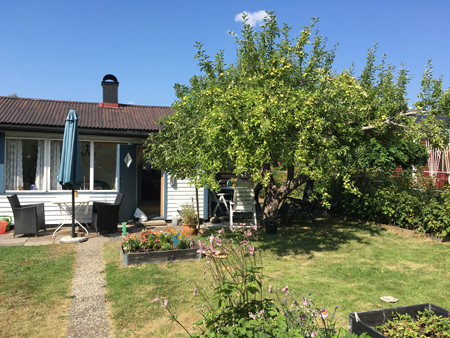 Slottet och delar av slottsträdgården Slottet och delar av slottsträdgården