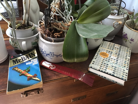 Böckerna Sadie when she died och Det som tillhör dig