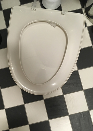 Trasigt vitt dasslock