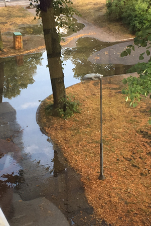 Översvämning nedanför balkongen Översvämning nedanför balkongen