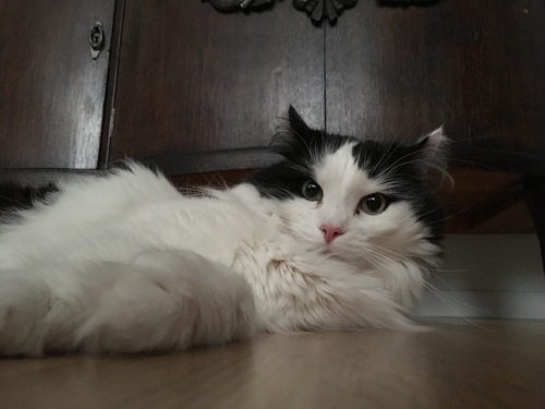 Lucifer på samma nivå