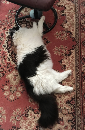 Lucifer på Kinamattan