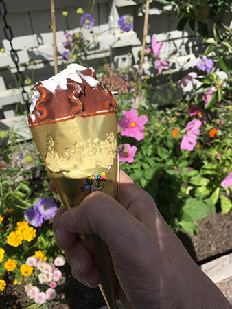 Storstrut i Botaniska trädgården