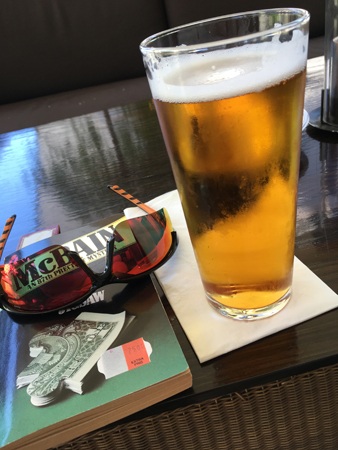 Öl solbrillor och boken Jigsaw