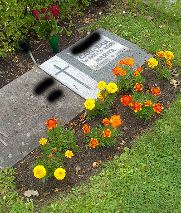 Graven med rosor från FEM till mammas födelsedag 2018