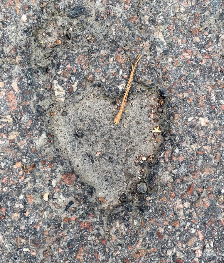 Hjärta i asfalten
