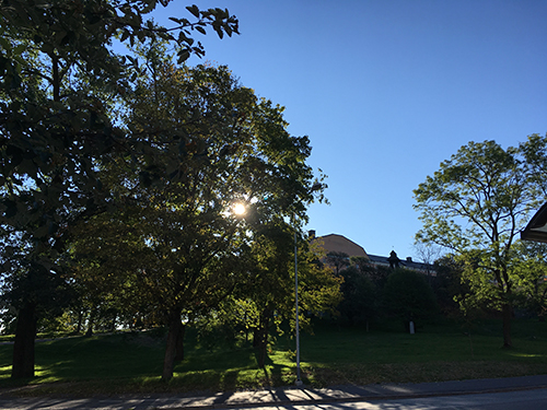 Morgonsol vid Slottet