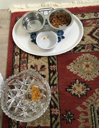 Kattmatställe hos Mia