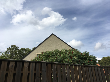 Utsikt från fikabordet