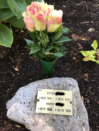 Rosor hos Ester och Harry