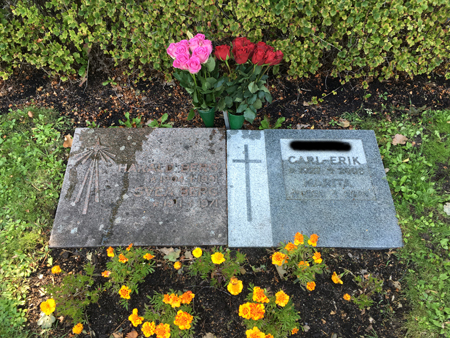 Rosor hos mormor o morfar o mamma o pappa