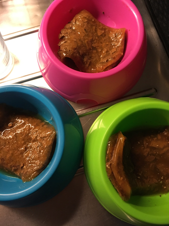 Tre skålar med kattmat