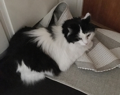 Lucifer utanför badrumsdörren