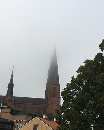Domkyrkotornet i morgondis