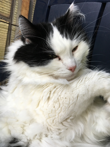 Lucifer vaktar vinskåpet