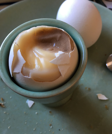 Brunt ägg