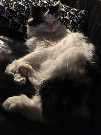 Lucifer sover i soffan