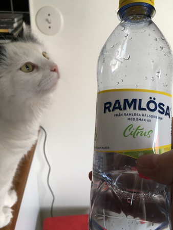 Vår Citrus och citrus från Ramlösa