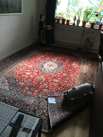 Citrus hjälper till med vardagsrumsmattan