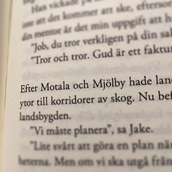 Motala och Mjölby i Labyrint Illumination