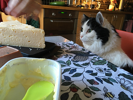 Lucifer vid köksbordet