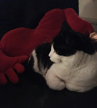 Mini i bästefåtöljen