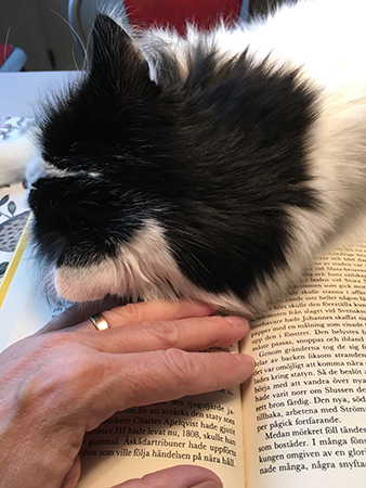 Lucifer på min hand och bok