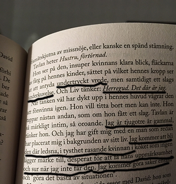 Sida ur boken Ensam i Paris