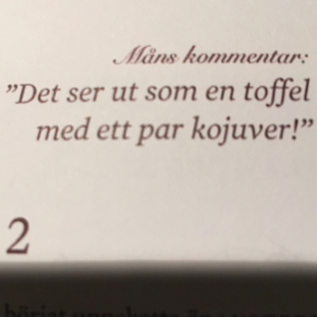 Citat MZ om loafers med tassel