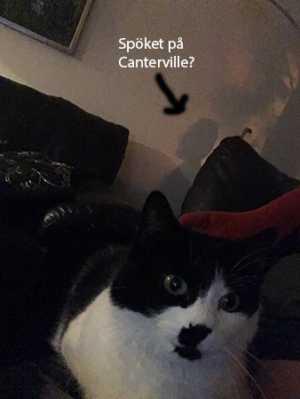 Mini och skugga på väggen