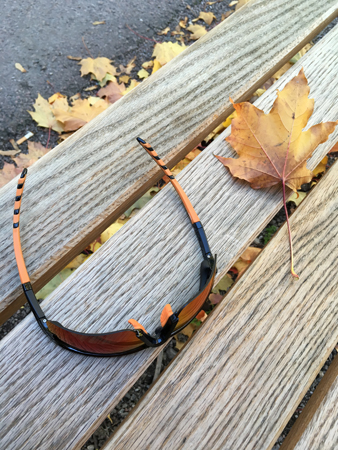 Solbrillor och lönnlöv