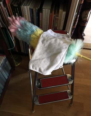 Dammvippa och dammtrasa på röda pallen