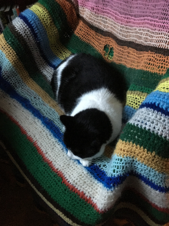 Mini i skrivbordsstolen