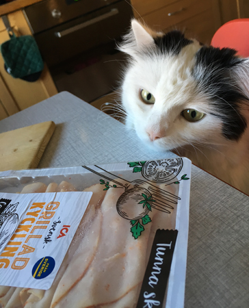 Citrus vid frukostbordet