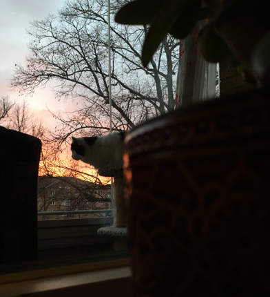 Lucifer spanar på balkongen