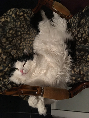 Lucifer utsträckt halvsovande