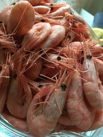 Färska svenska räkor